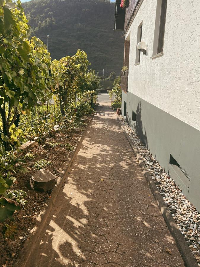 Ferienwohnung Moselflair Mit Direktem Blick Auf Die Mosel Und Weinberge Oberfell Exteriör bild